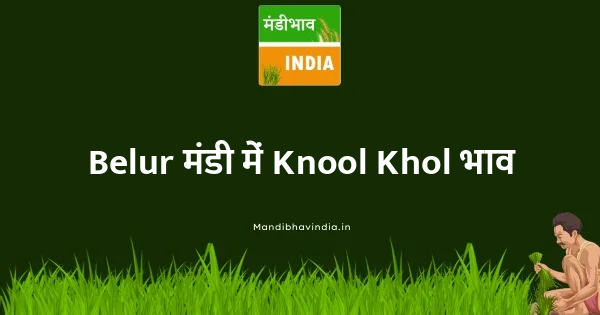 Knool Khol भाव